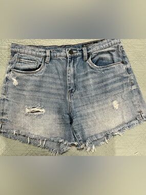 Blank NYC Faded Light Blue Distressed Jean Shorts